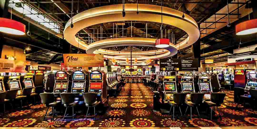 Vô số game cá cược đợi bạn tại Star Vegas